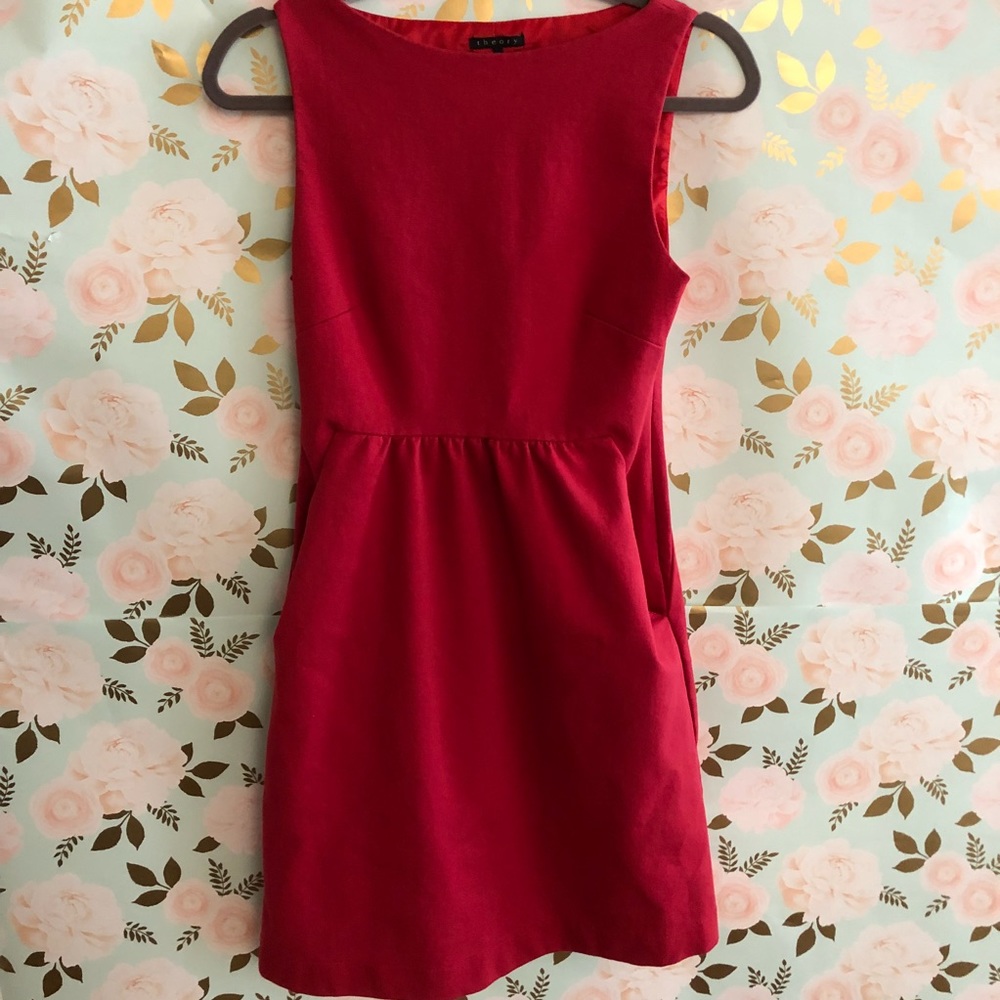 Reddish Pink Theory Dress